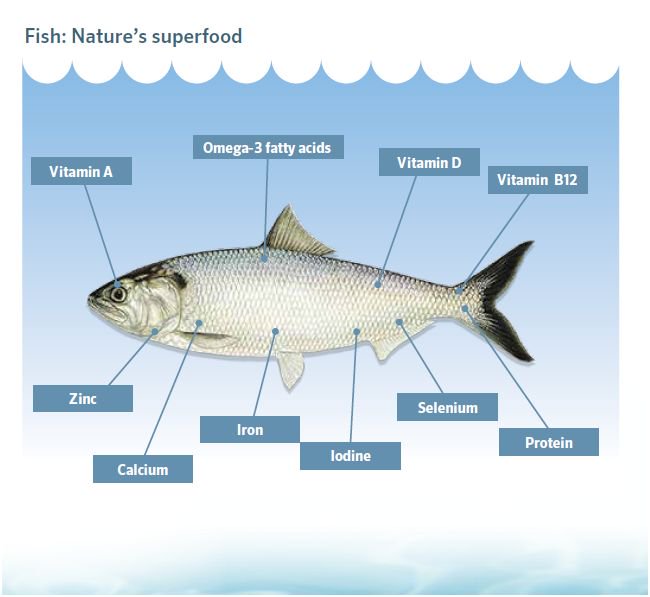 Fisheries & Aquaculture tweet media