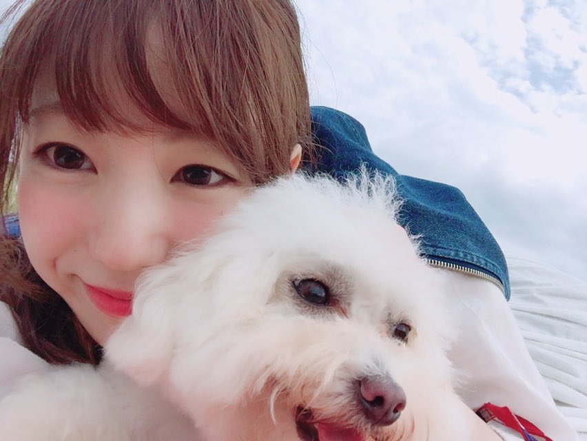ヒメノ Twitter પર 10月日発売の 横浜ウォーカー で 犬特集の取材をさせてもらったよ 一緒に撮影したミッキーくんが もう可愛くて可愛くてたまらないので ぜひ みてください 横浜民はコンビニ 他県民は大きい書店にて お願いします 横浜