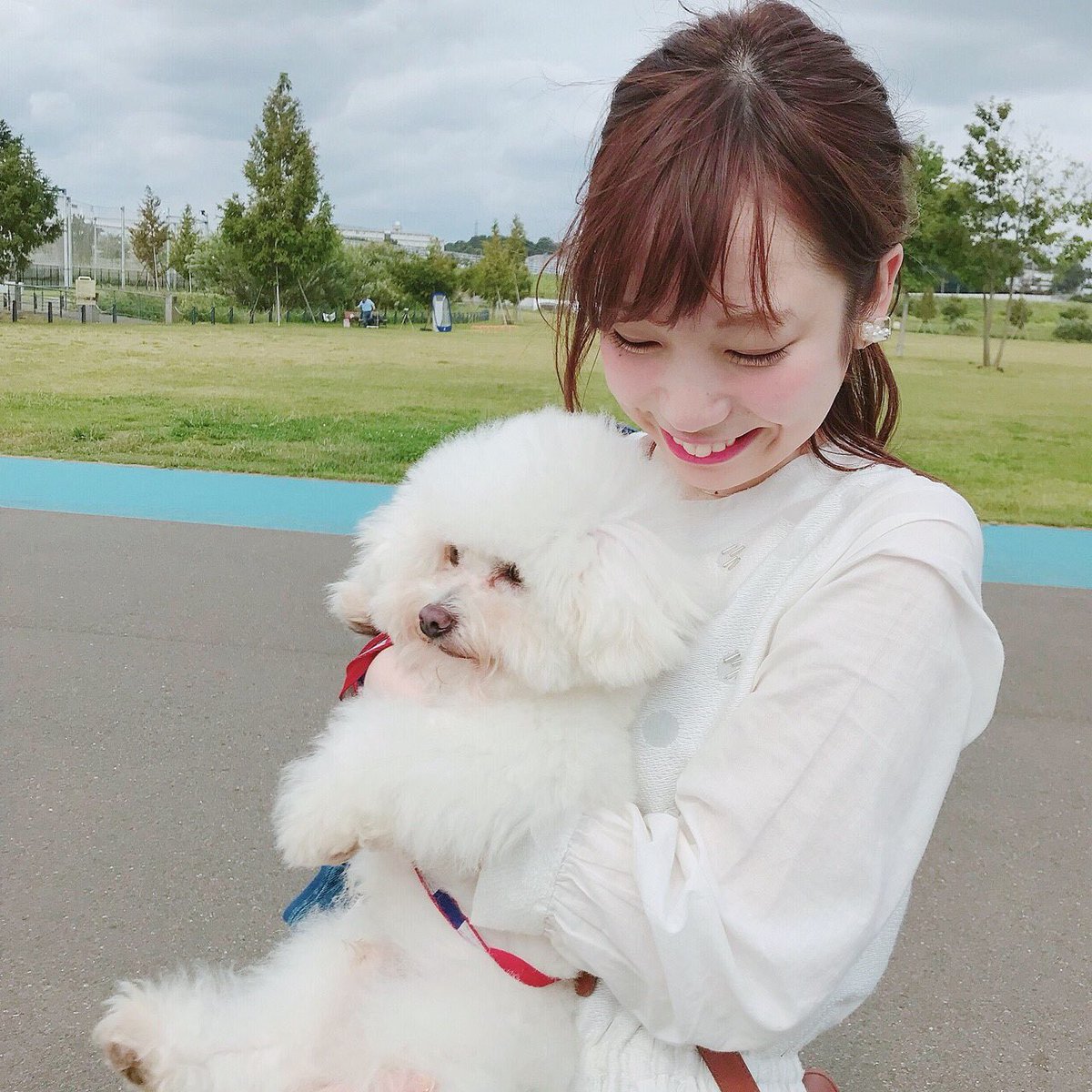 ヒメノ Twitter પર 10月日発売の 横浜ウォーカー で 犬特集の取材をさせてもらったよ 一緒に撮影したミッキーくんが もう可愛くて可愛くてたまらないので ぜひ みてください 横浜民はコンビニ 他県民は大きい書店にて お願いします 横浜