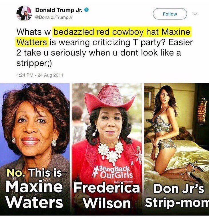 lowkeyjudgement's tweet photo. #DonaldTrumpJr #Morontrump #idiot same #iq as his father! 🍎 not far from 🌲 Dumb, sexist & racist gene has been passed on #insultfail https://t.co/FX1CZzHMWF