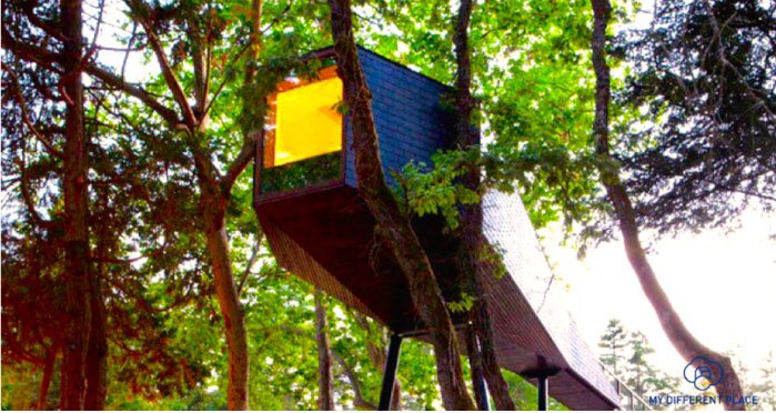 MDifferentPlace's tweet photo. Aunque todavía no lo sepas, esta va a ser tu casa árbol preferida. #casasarbol #Glamping #mydifferentplace #mdp https://t.co/ZemhAQ5Hhq