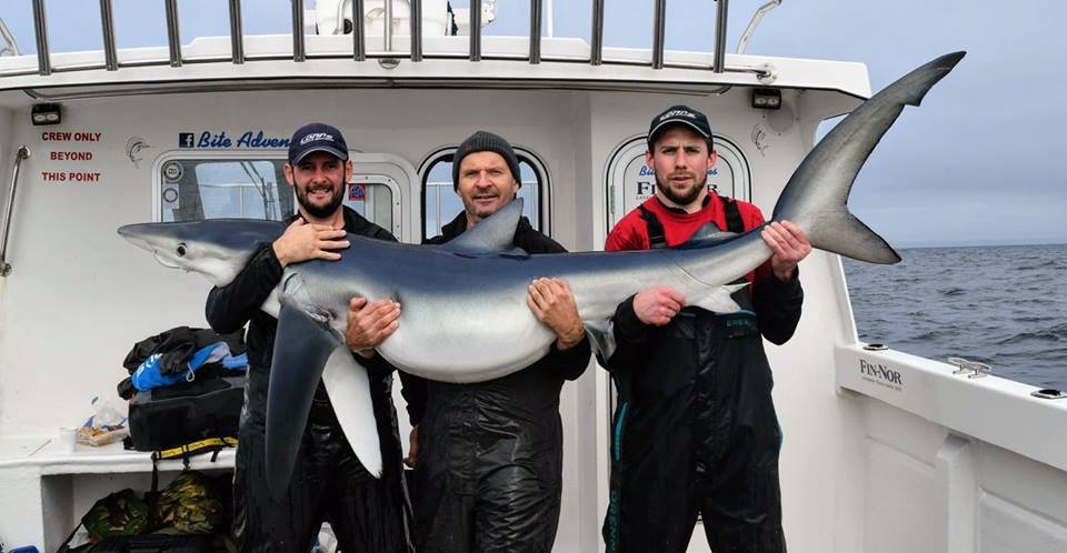 Total Sea Fishing tweet media