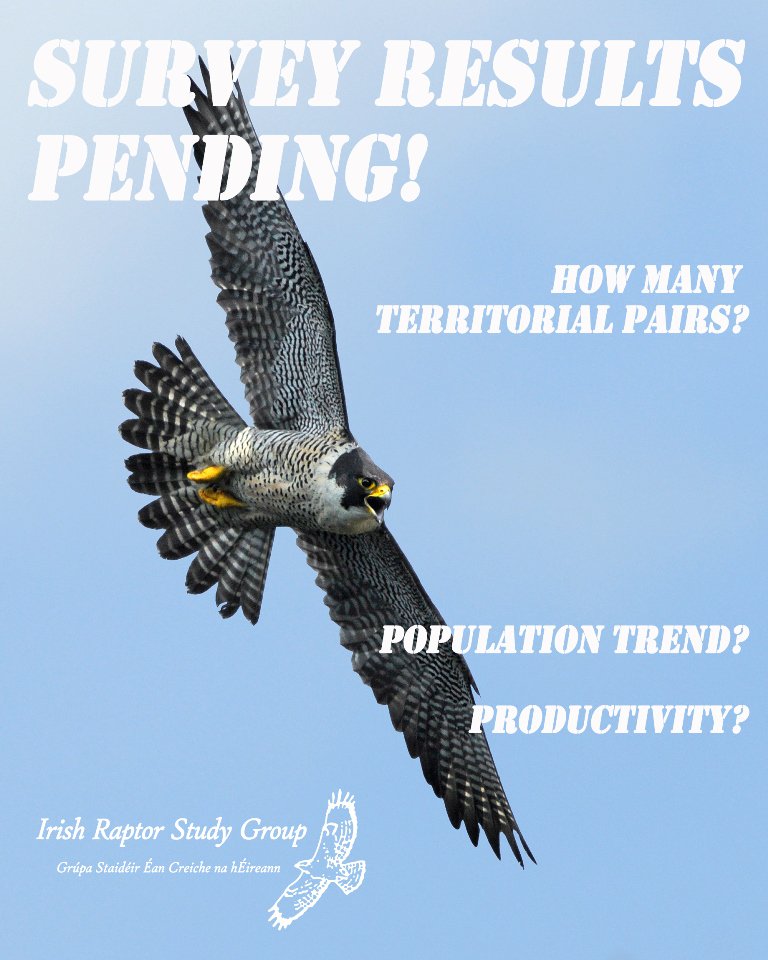 Irish Raptor Study Group On Twitter Coming Soon Results