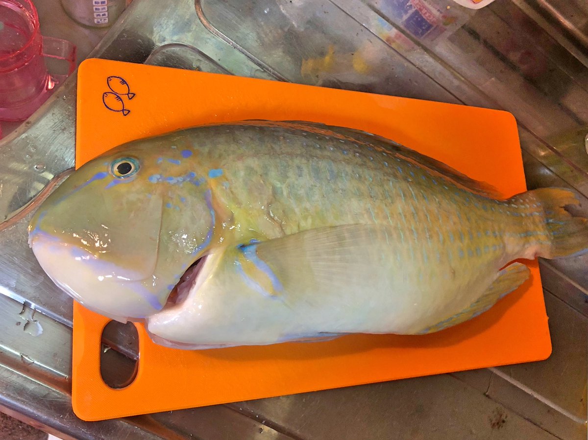 宮城 梓 きまぐれクック見てしまったらやるしかないよね 笑 マクブ 沖縄三大高級魚 熟成