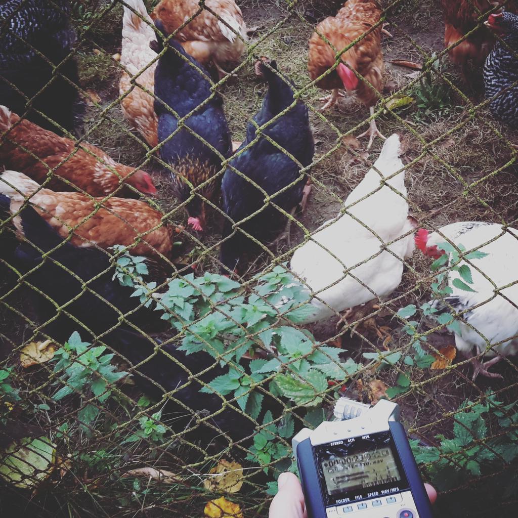 mentalbend's tweet photo. #fieldrecording https://t.co/5MHscOEsAe