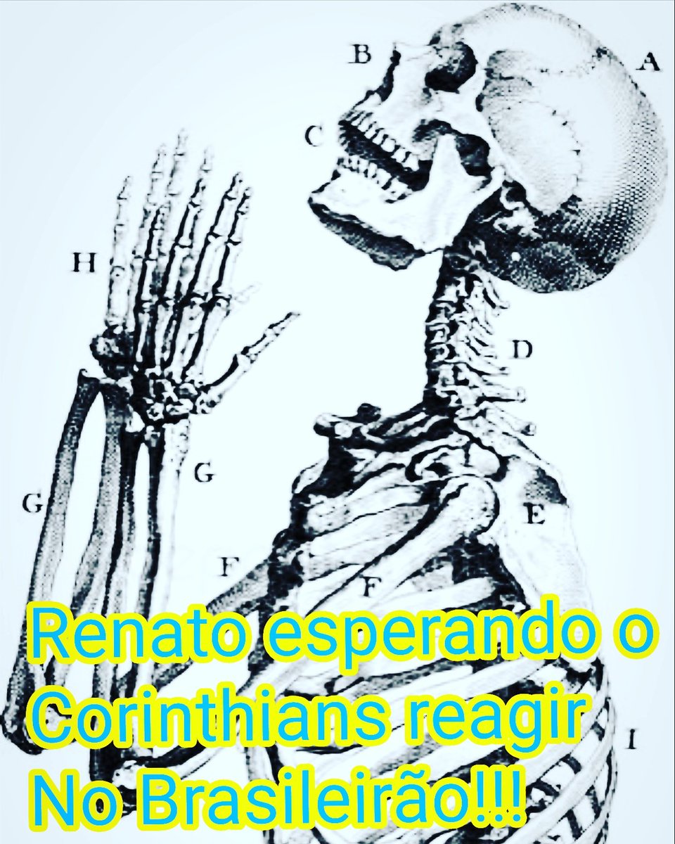 botaamarela tweet picture