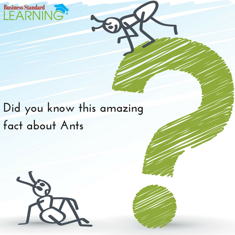 learningwithbs's tweet photo. #DidYouKnow: Average #Ant can carry between 10 and 50 times its own body weight. #Facts https://t.co/stFTvXtbNi