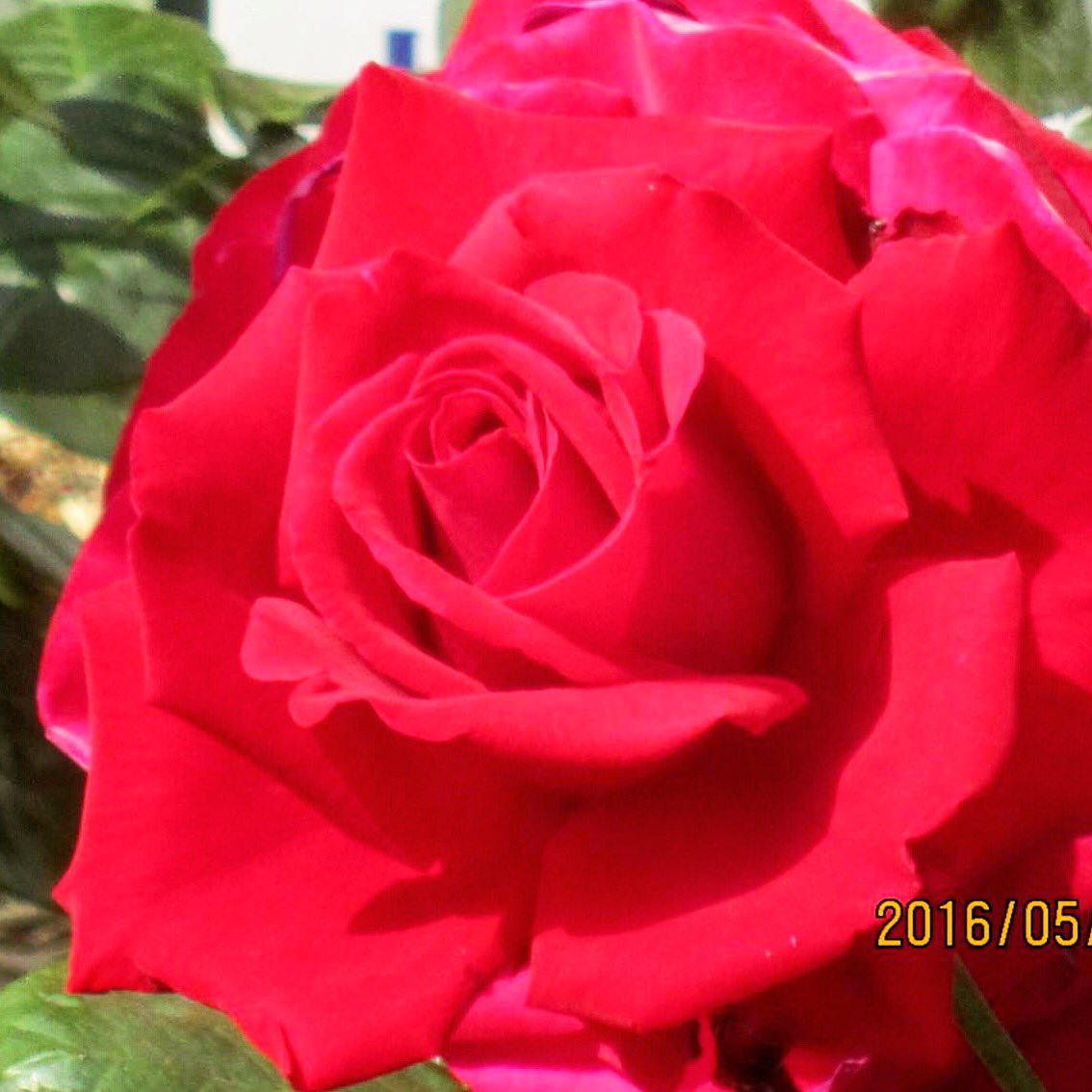 Good night ❤️❤️❤️❤️✌️✌️✌️🌸🌺💖💐💕😃