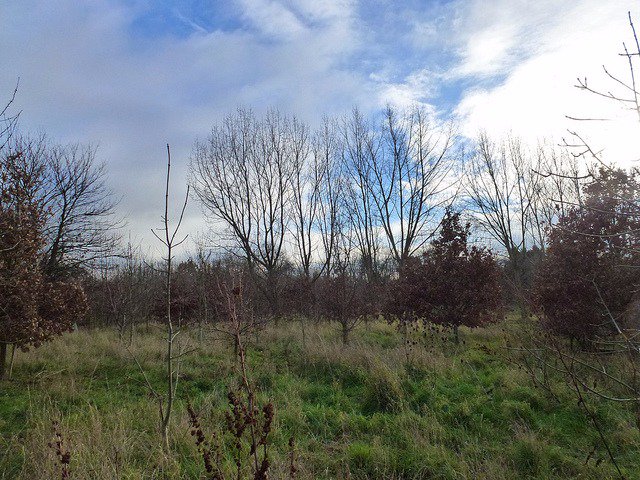 KentDownsNL's tweet photo. Come along to The Meads Community Orchards on #thursday for a guided walk with @MidKentDownsCP https://t.co/hgEVus2Xgn #Sittingbourne https://t.co/SNPOJ9uOYN