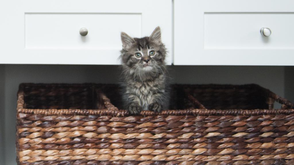 #NationalFoodDay did someone say food