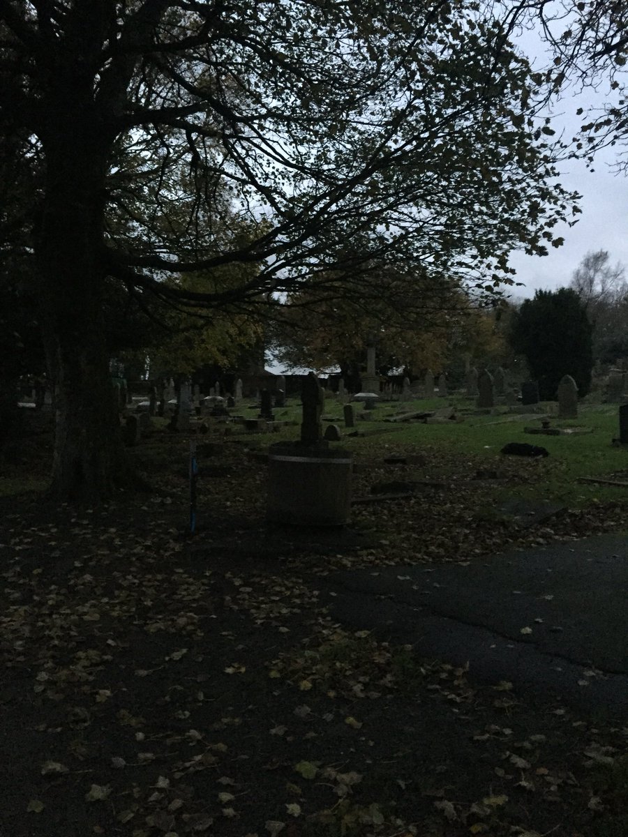 DominicRothwe11's tweet photo. Autumnal walk at dusk, great but keep losing my black dog...? https://t.co/R0BmVR14lx