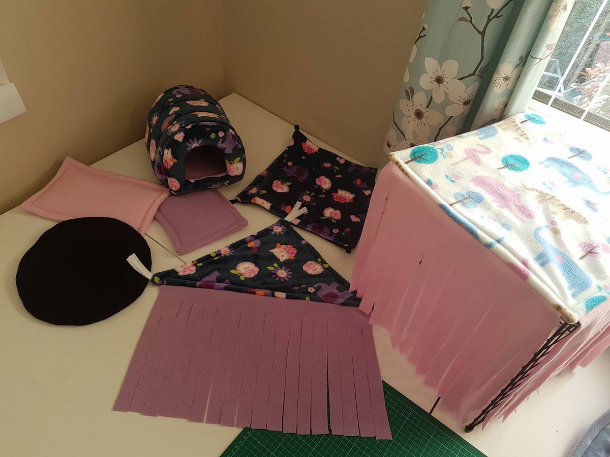 AnimalTribe94's tweet photo. The girls are excited for there new fleece items coming!! #guineapigs #pets #love #cavy https://t.co/y1bKoDMZun