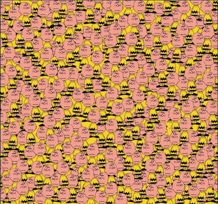 natimarquetti tweet picture