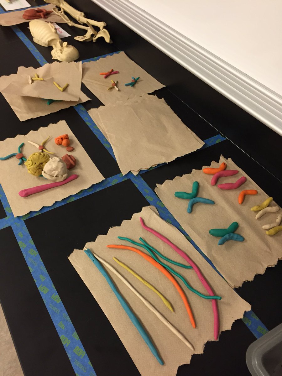 DebYats's tweet photo. This is the part of teaching 6 diff science classes that’s interesting-Keeping track of labs/activities. Good thing I have counter space! https://t.co/Bgp3pE0g41