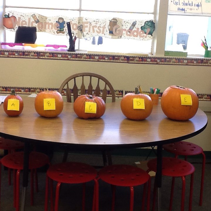 MrsKristenMay's tweet photo. S's using research skills to investigate " Which pumpkin has the most seeds?"  The answer may surprise you.  @ADES_SMUSD https://t.co/SDeHDyF4oW