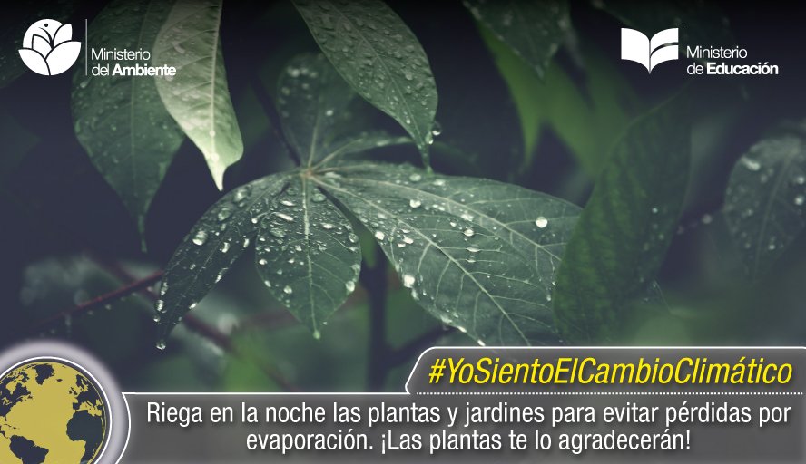 EcuadorMAE's tweet photo. Tú eres parte de la solución. Tú puedes aportar en la conservación del patrimonio natural.  
#YoSientoElCambioClimático https://t.co/Lz1HQJT0te
