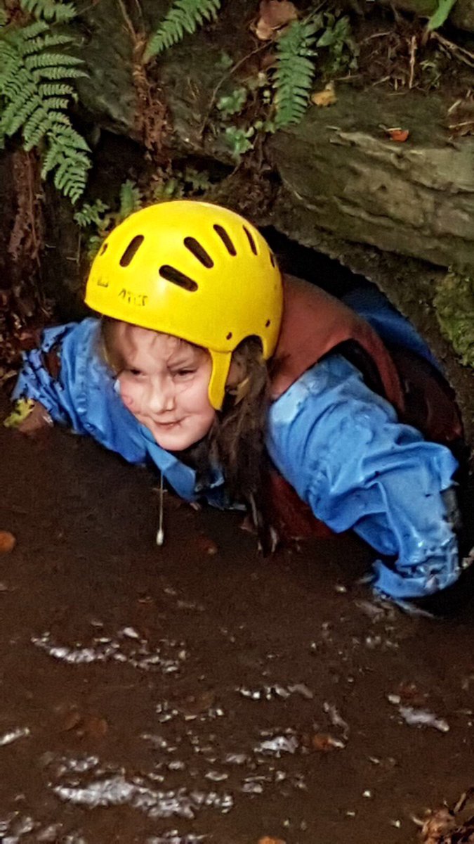 Andrews Memorial tweet media