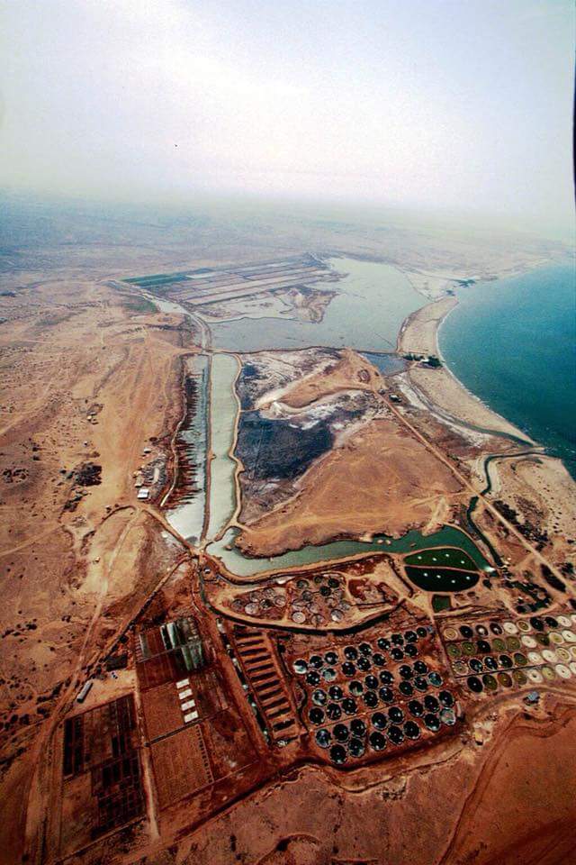 tewerwari_1's tweet photo. ኣብ ባጽዕ ዝካየድ ዘሎ ናይ ባሕሪ ሕርሻ Aerial  view of the sea water farm in Massawa, Red Sea #Eritrea 

(Creadit: Hagerawi Dihnet) https://t.co/zcQnCfIZEm
