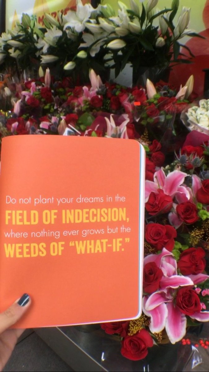 hover_kicks's tweet image. #TuesdayThoughts from the HoverKicks HQ 🌹🌷🌺💐