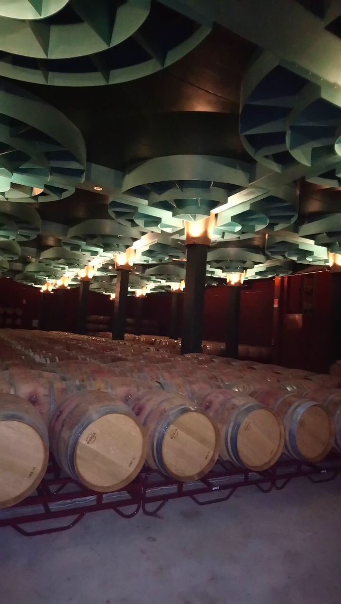#BodegasValcarlos ageing cellar. Deep breath and just smell that oak😀