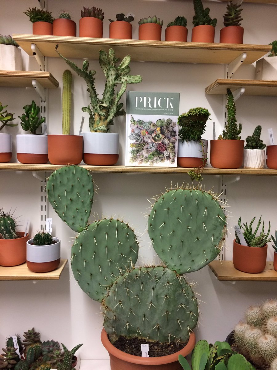 KarenBakerPR's tweet photo. We've arrived at the @PRICKLDN book launch! It's cacti-tastic! Watch out for the prickles!! #PrickBook https://t.co/mtp2UwmHQ9