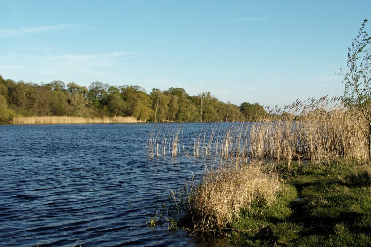 mark_radler's tweet photo. Havel bei Toppel
#Havel #Toppel #Prignitz #RadtourHavel https://t.co/YORUgSPQHd