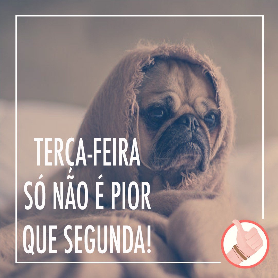 Boralá?! tweet media