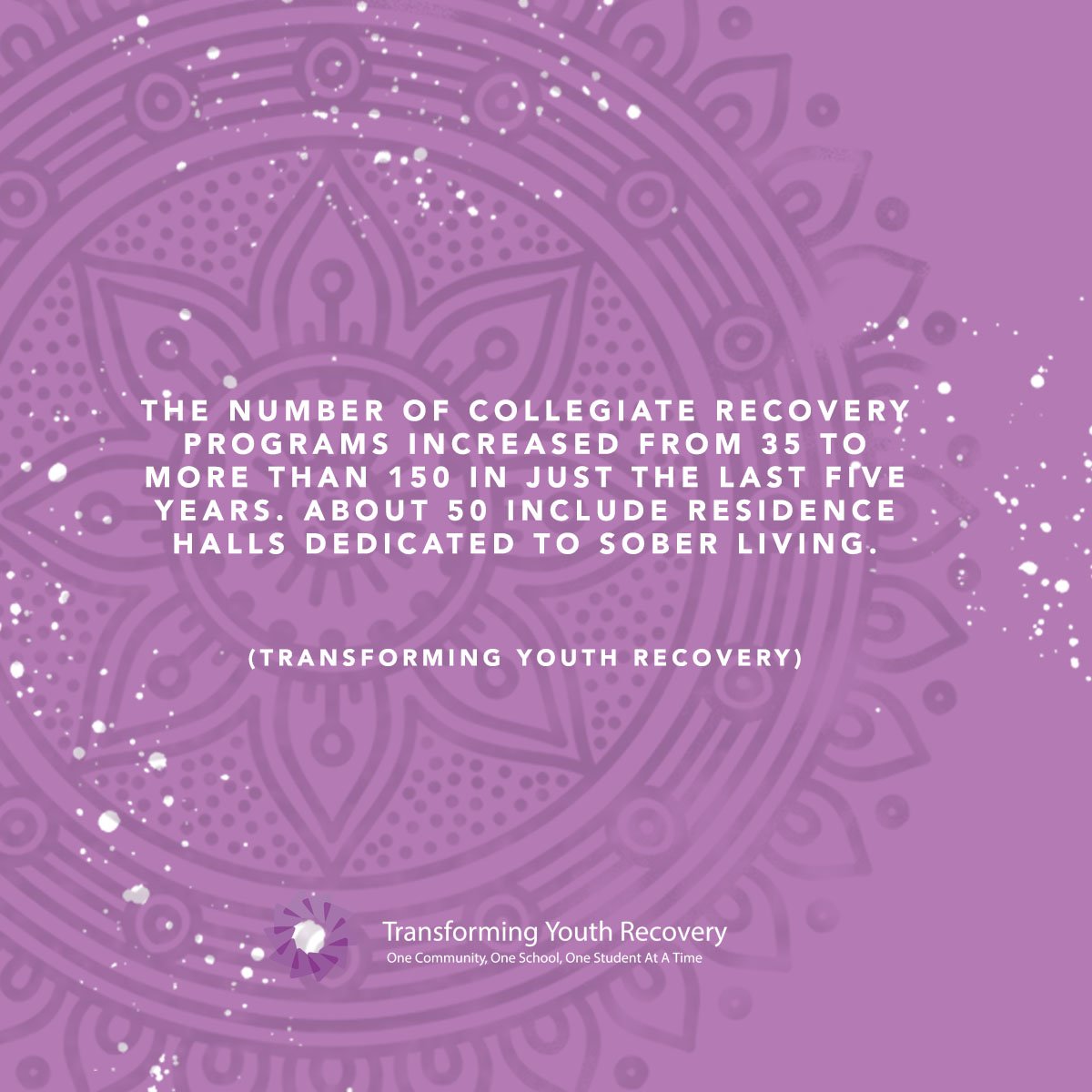 TYR_YouthRecvry's tweet photo. Our vision is to give every student a healthy and supportive place to learn and grow.
#TYR https://t.co/zNXZDUi3Il