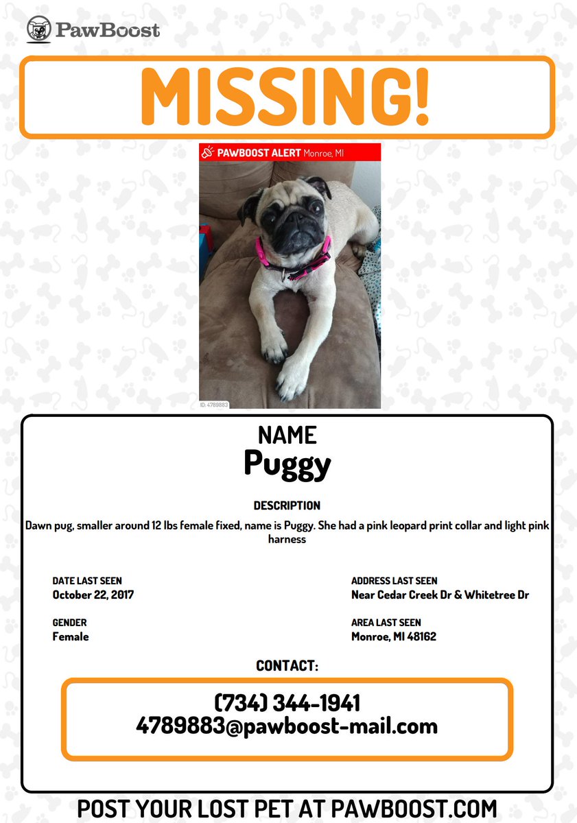 puggy_vida's tweet photo. Help bring Puggy home! She's my emotional support dog and is dearly missed! Last seen in landings at cedar creek, monroe MI 48162 https://t.co/lSay0ZTywu