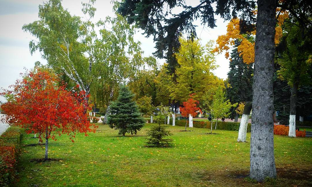 Samarawithlove's tweet photo. Немного ярких самарских цветов вам в ленту...
Фото by @nadeyka6 

#самараслюбовью #самара #всамаре #самарагородкурорт #самара2017 #самара63 https://t.co/bSFqkjz4CK