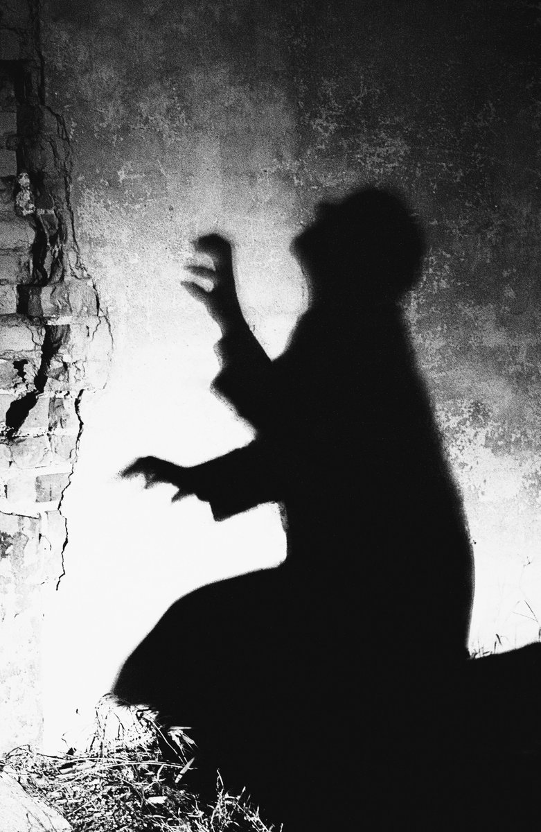 gcLABRADORS's tweet photo. Shadow play expressionism from a vampire Halloween photoshoot
#vampire
#Nosferatu
#Halloween
#photography
#expressionism
#horror
#undead https://t.co/s5xawmz1Iq