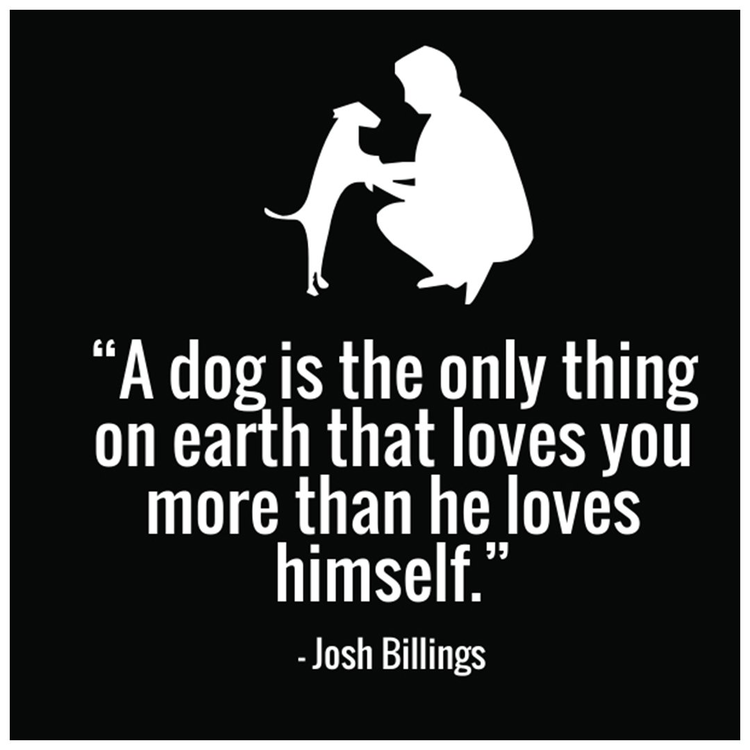 PureAlohaPets's tweet photo. A dog is the only thing on earth that loves you more than the love himself. - Josh Billings 

#Petlover #Dog #PureAlohaPets #quoteoftheday https://t.co/P7UWmaV5rN