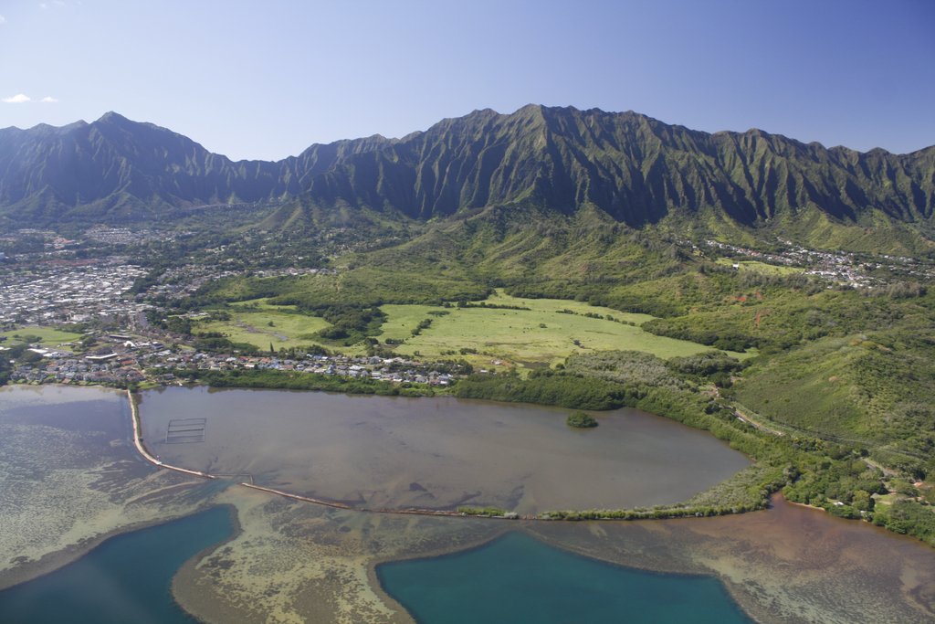 UHPRESSNEWS's tweet photo. Hear what #PacificScience editors are doing to help #Hawaii habitats and research in our interview: https://t.co/BWG99nUHvL https://t.co/OnCWBfK5hh