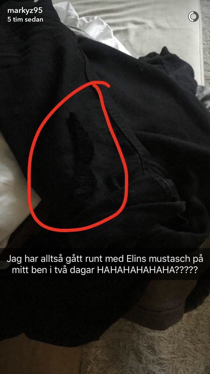 elin eghbal tweet media