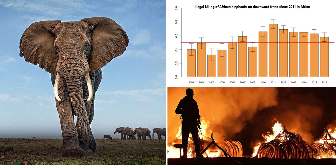 John E. Scanlon AO tweet media