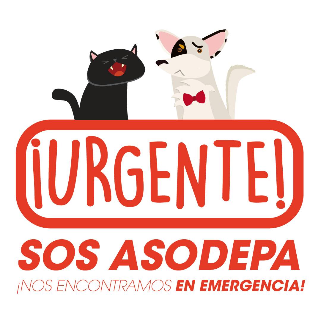 Asodepa's tweet photo. Estimados: necesitamos de su colaboración para comprar una nueva bomba sumergible para el mtto y limpieza del refugio. Info aquí #asodepa https://t.co/ceQfS6Oz3v