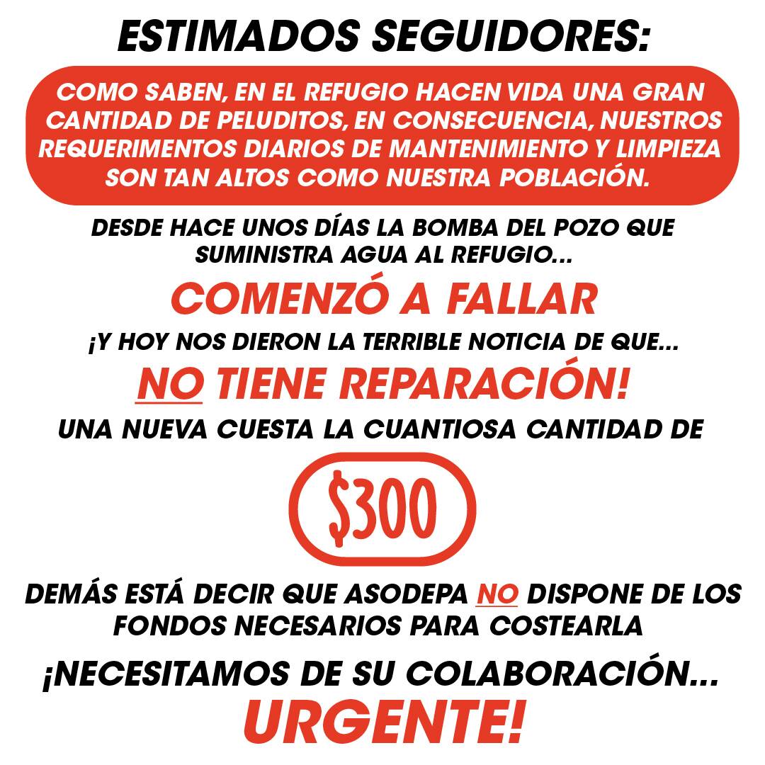 Asodepa's tweet photo. Estimados: necesitamos de su colaboración para comprar una nueva bomba sumergible para el mtto y limpieza del refugio. Info aquí #asodepa https://t.co/ceQfS6Oz3v