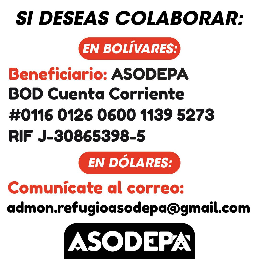 Asodepa's tweet photo. Estimados: necesitamos de su colaboración para comprar una nueva bomba sumergible para el mtto y limpieza del refugio. Info aquí #asodepa https://t.co/ceQfS6Oz3v