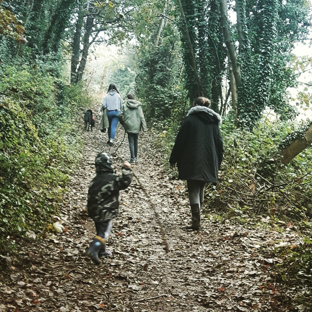 MrW0401's tweet photo. Lovely walk in the woods hunting Gruffalos & Tiggers #lancing #lancingmanor #autumn #fallenleaves #familytime❤️ https://t.co/QjbQnt8XC0