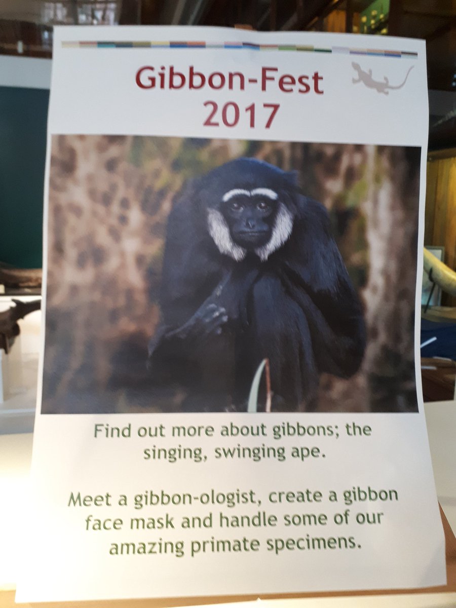IUCN_Gibbon's tweet photo. 260 people and counting have joined us for #IGD2017. It's not too late to come on down to @GrantMuseum @h_chatterjee @gibbonresearch https://t.co/VYJUtB2Hkj