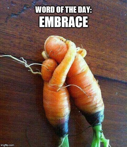 NextStepEnglish's tweet photo. embrace: to put your arms around someone as a sign of love or friendship

#LearnEnglish #الإنجليزية #English #Inglês #anglisy #vocabulary https://t.co/J10gFdFf6H