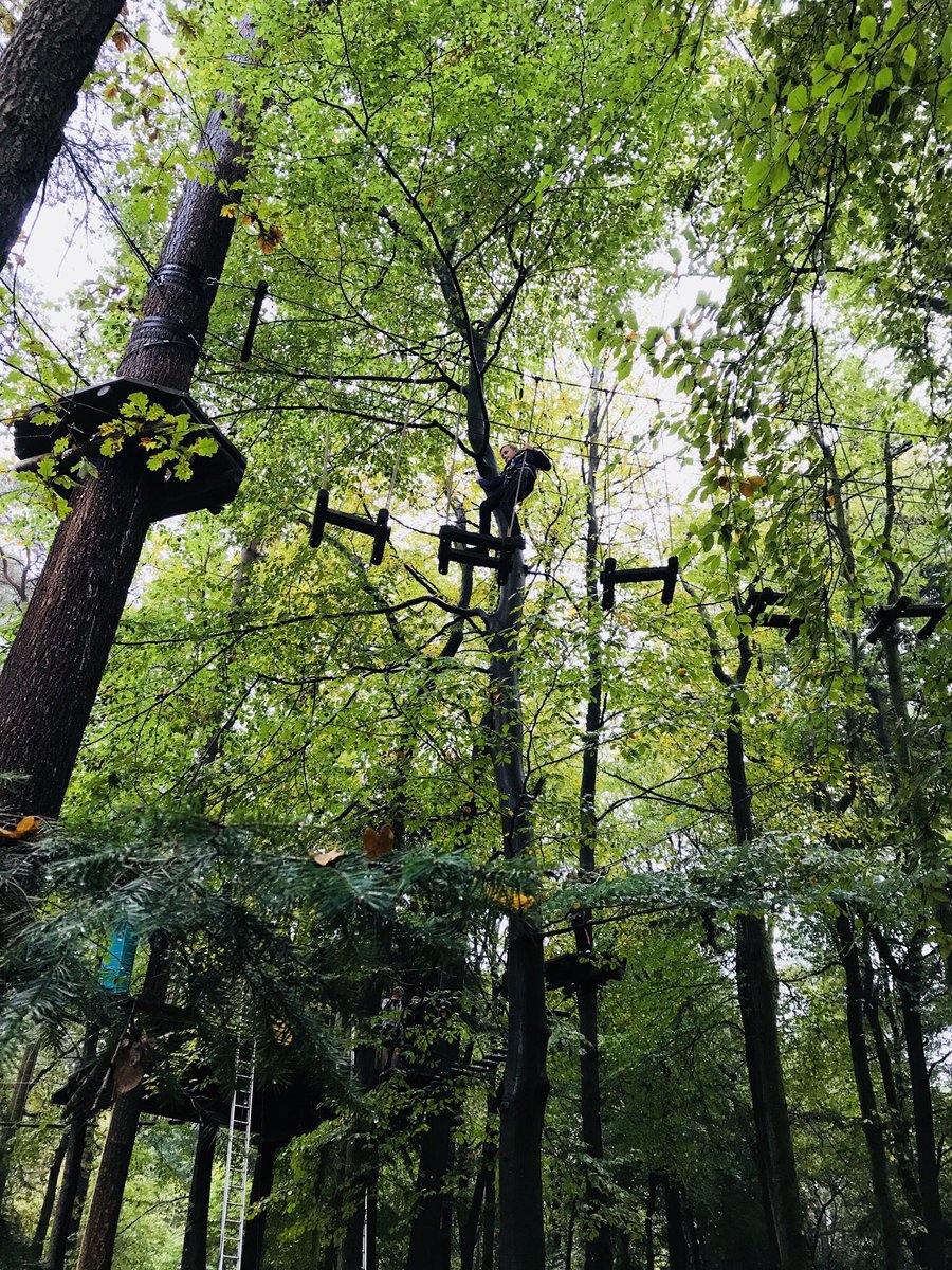 HanitavdSchaaf's tweet photo. Prachtig klimparcours in de bossen van Appelscha en goede begeleiding, top @De_Jongens! https://t.co/x11FV9ylz4