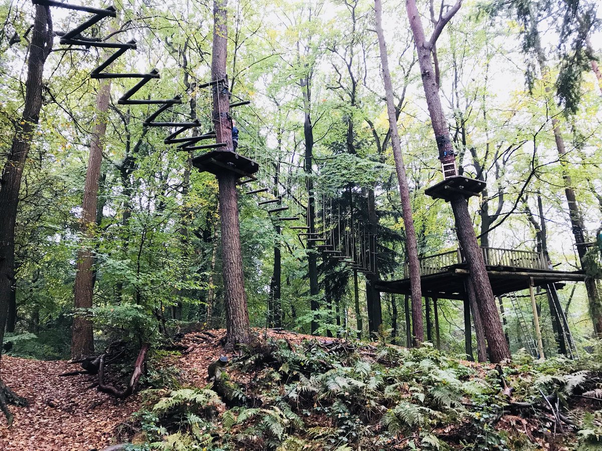 HanitavdSchaaf's tweet photo. Prachtig klimparcours in de bossen van Appelscha en goede begeleiding, top @De_Jongens! https://t.co/x11FV9ylz4