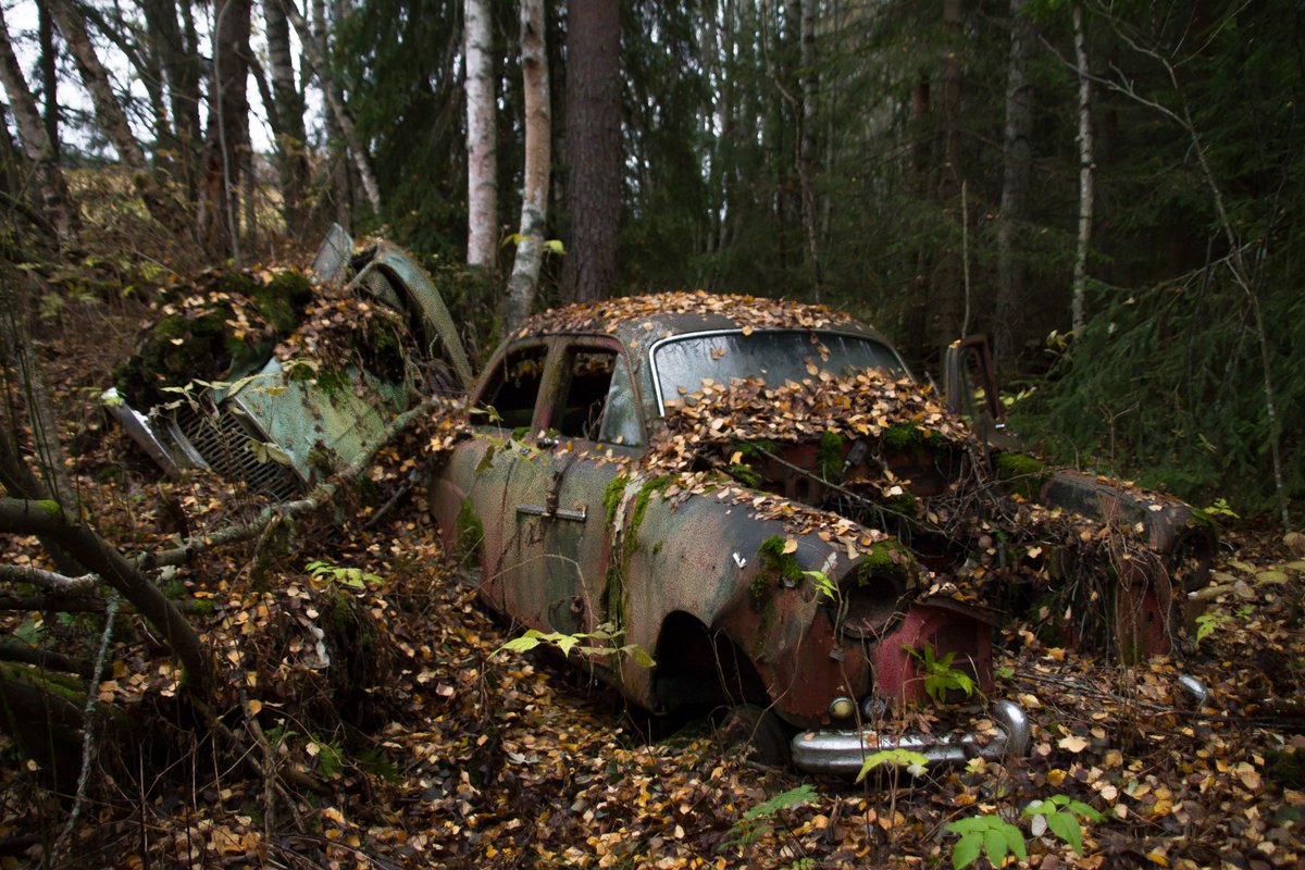 NordicUrbex's tweet photo. #urbex #rurex #forfall #forlatt #car #nordicurbex #urbexnorway @KeithIsHereYT @WorldAbandoned https://t.co/cV4gfuk7fR