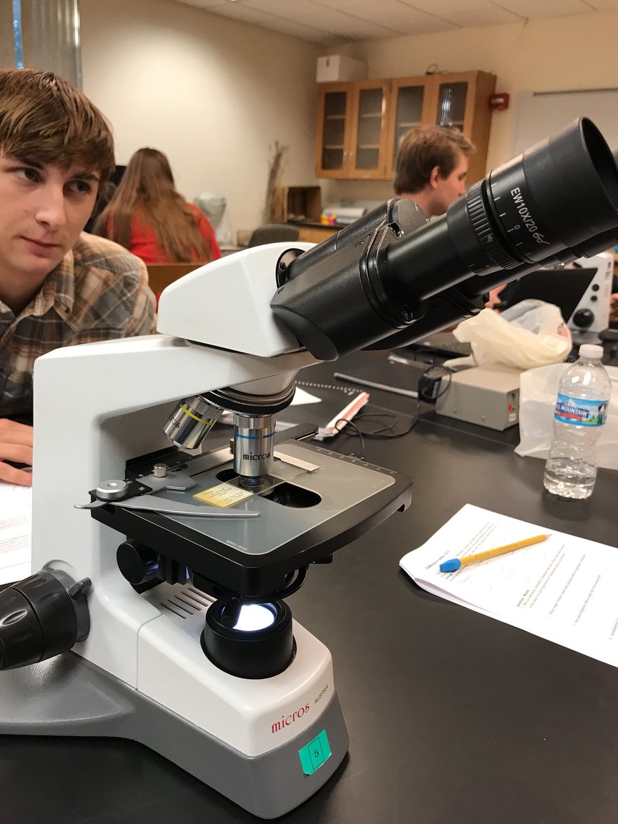 MummConnor's tweet photo. @UNKBiol106CW #106F17week10 seeing how cancer cells differ from healthy cells in lab this week https://t.co/iHCGOVwyl0