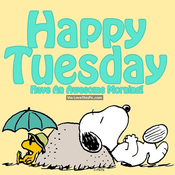 berryonline's tweet photo. Happy Tuesday, @CityKitchener! Busy day! #WorldPolioDay with @RotaryGR, @RegionWaterloo #CommitteeDay, @CityKitchener Advisory cute update, Catch-up with @RobinMazumder & more! https://t.co/KsK2Y8L3Zj