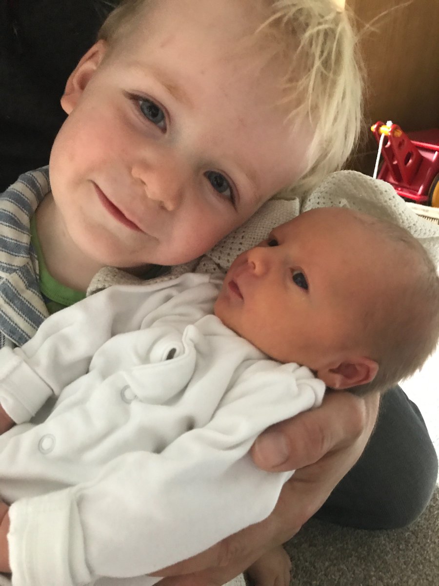 MereCreamery's tweet photo. Sorry for the lack of contact lately - it’s been busy with a newborn baby, lambing season along with a film crew! https://t.co/SX75Dwc72M