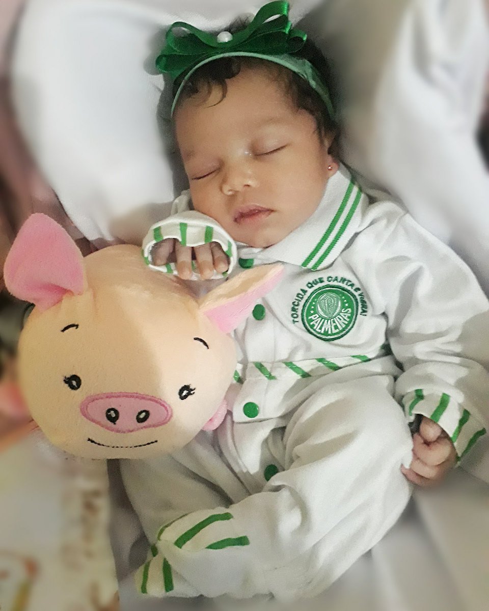 MichelMarceli13's tweet photo. #fogoja #jogoaberto
Vamo ganhar porcoooo 💚🐖🇮🇹 https://t.co/PwdsNokdLm