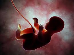 kenhoagland's tweet photo. Can humans reproduce in space? What about radiation, zero-gee? "Sex in Space" covers it. And much more. @DrPhiltill https://t.co/Yca3TSOP2w https://t.co/szGnMTl9J4