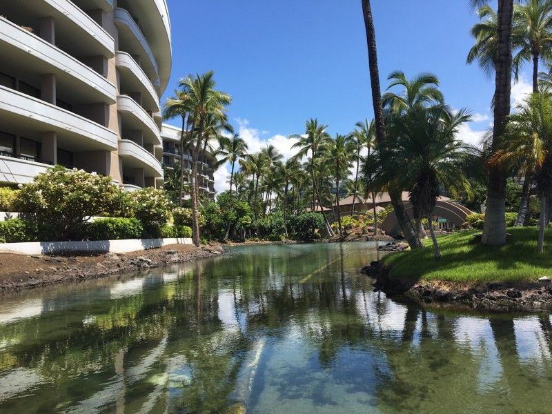 Fredericsealey's tweet image. Frederic Sealey - Chico - LocalWiki buff.ly/2yLjyAT #Fredericsealey -on #localwiki #Chico